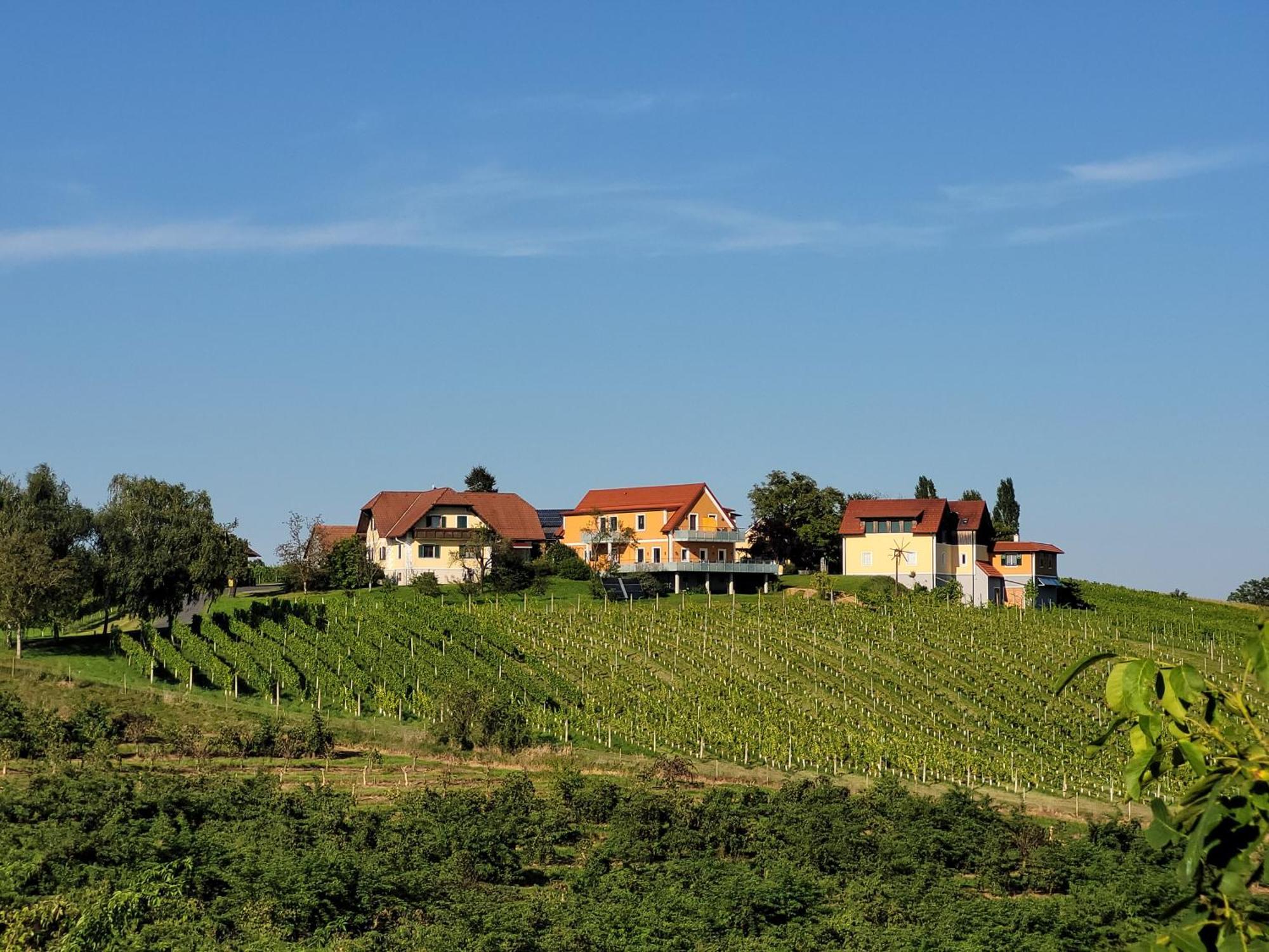 Weinhof Reichmann Bed and Breakfast Sankt Peter am Ottersbach Exterior foto